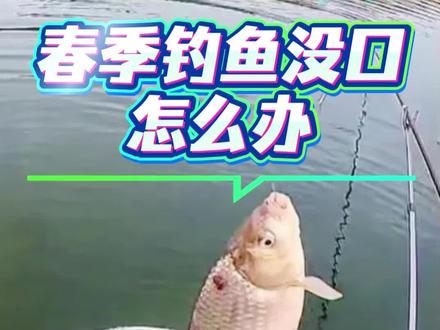 春季钓鲫鱼没有口,你会怎么解决#钓鱼 #钓鱼的乐趣只有钓鱼人懂 #钓鱼技巧 #钓鱼经验 #垂钓