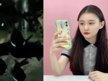 挑战自己孵化“发光鱼"!99元买来鱼卵,最后孵出了一条小黑鱼? #开箱测评 #孵化鱼 #灯颊鲷 #发光鱼