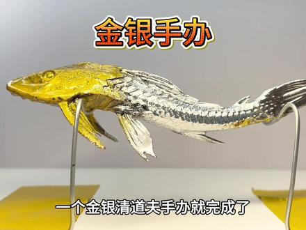 给入侵物种清道夫喷金银漆!会发生什么事? #清道夫 #清道夫奇葩试验 #趣味实验 #油漆