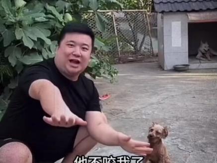 训犬大师教学.#摸摸哥#泰迪