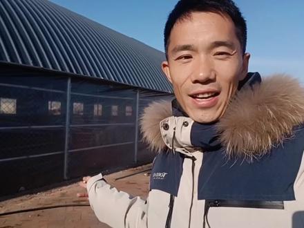 东北敞开式牛圈如何过冬!牛圈的整体细节
