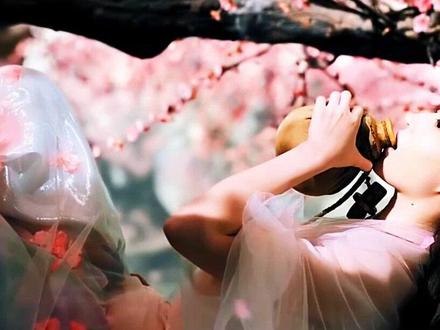 #唐伯虎 桃花坞里桃花庵,桃花庵里桃花仙。桃花仙人种桃树,又摘桃花换酒钱。别人笑我太疯癫,我笑他人看不穿#诗词