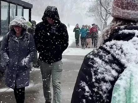 深居美国大东北内陆的康奈尔大学,一年六个月暴风雪,离最近大城市开车居然要5小时,又冷又村。我为什么本科选它?#留学 #国外生活