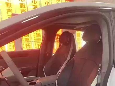 太阳树零跑c01后排分体安装视频