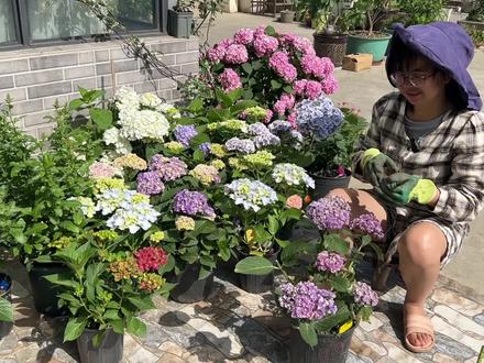 记一次失败的创业经历#记录真实生活 #vlog日常 #露台花园