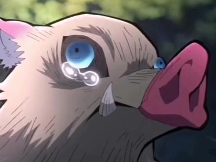 善逸:伊之助 犯规这太犯规了 #鬼灭之刃 #嘴平伊之助 #我妻善逸 #鹅滴神片