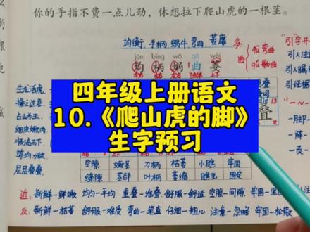 #上热门 第10课《爬山虎的脚》生字预习#四年级上册语文 #词语积累 #小学语文 #生字