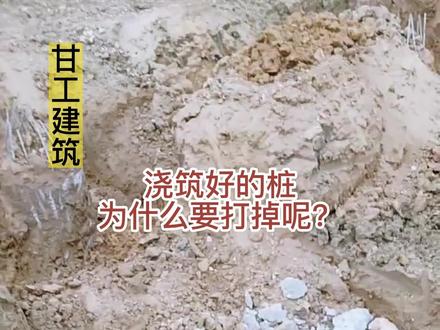 浇筑好的桩为什么要打掉呢?这个视频来说说这个问题#农村自建房 #地基基础