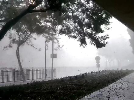 请以考试时的写作水平:不提及“雨”字却能表达雨很大.