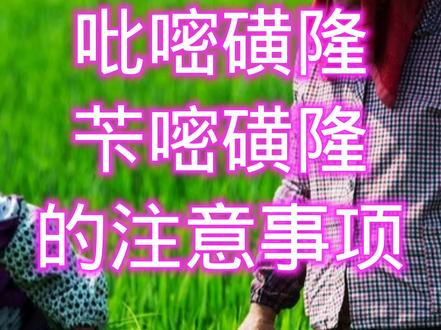 吡嘧磺隆,#三农 #农业种植 #水稻 #除草剂 #除草 苄嘧磺隆的注意事项