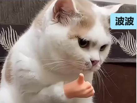 你们安徽的颜值都这么高的吗#万万没想到 #冷知识