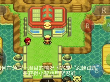 究极绿宝石5.5甲贺忍蛙试炼详细攻略