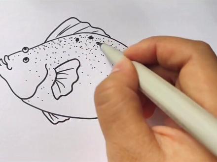 买一条鲈鱼摆摆#儿童画 #简笔画 #手绘 #鱼的画法@抖音小助手