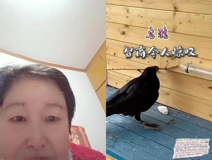 和 @动物世界 🦅 一起 #合拍