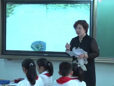 小学语文四年级上册查老师《爬山虎的脚》公开课优质课教学视频获奖一等奖公开课教学设计课件备课试讲说课微课板书设计#小学语文课堂实录