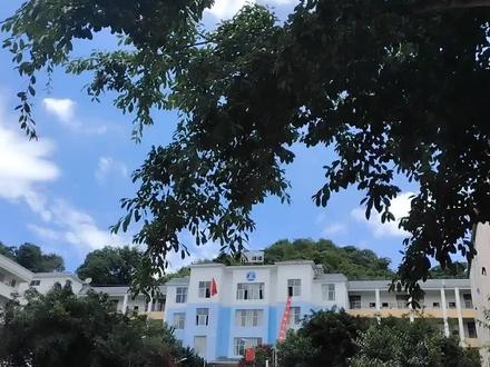 国外冬天的寒风刺骨,路灯下江添收了收脖子上的围巾。
经历过手机两次被抢,江添在赵曦和林北庭的建议下搬了家。
口袋里的手机响起,是江鸥。
“嗯,”江添还是一如既往的冷淡,“我知道了。”
江鸥在那头交代了让江添明天周末去她那一趟,和丁老头他们一起吃个饭。
回到家,“望仔”蹲在窗台上看向窗外,听到门被打开的声音从窗台上一跃而下迎了上去。
“喵~”猫蹭着江添的裤腿,猫食盆里的猫粮已经没有了,大概是饿了。
江添给它添了吃的,因为“望仔”不适应国外的冬天,家里一直开着空调。
他脱了外套,进浴室洗了个澡,半干的头发垂在耳边,打开电脑收到了同门陈晨的文件。
是周一教授需要的文件,教授看重的人也就本科毕业直接申请博士的江添和同辈能力杰出的陈晨,一般的事情都是两人同时完成。
现在国外时间是深夜十点半,国内应该已经早上十一点了,这个点盛望应该下班吃午饭了吧。
“望仔。”江添看着喝牛奶的猫叫道。
“望仔”闻声抬头,“喵”了一声连忙凑到江添旁边。
他揉了一把猫的脑袋,猫也顺势蹭了蹭。完成文件已经十二点了。
江添靠在沙发上翻着手机,下意识的点进一段视频。
视频里的少年穿着蓝白色的校服,手里提着一袋药,肩上挂着书包,走几步就回头问:“拍的清么?”
少年走了几步又走回来,顶着一张领导视察不满意的表情说:“再来。”
视频来来回回十几分钟,这十几分钟搭进了江添这辈子的耐心,但就是这一段视频支撑着江添在国外的生活。
也就是这段视频让江添的思念越来越重,如果思念会成疾,那他早就病入膏肓了。
第二天周末的江添如约去跟江鸥和丁老头吃饭,草草结束了饭宴,江添还是选择去实验室。
同样在实验室的还有陈晨,按照往常的江添应该早就在实验室了,这次居然比他晚。
“哟,难得啊。”陈晨撑着桌子问江添:“对了,你刚才不在,教授通知说我们有和国内的合作,就在明天,你去么?”
国内么?
江添淡淡回了他一句:“去。”
#木苏里 #江添