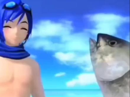 #Kaito
金枪鱼恋之歌