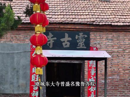 如果不是当年的大火,东大寺肯定比现在香火旺盛. #东大寺 #瞎胡拍的飞手 #灵古寺
