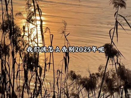 苦尽甘来终有时,一路向阳待花期。2026年,你定会邂逅更闪耀的自己!#告别2025年 #原创视频 #真实分享生活计划