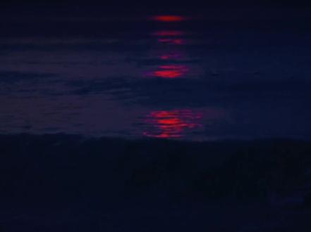 沈括等了陆嫣四世 梁庭也爱了陆嫣两世 甚至终身未娶 陆臻每一世的妻子都只是简瑶 这部小说各个都是情种,he了但好像也有点意难平#重回我爸当校草那几年 #小说#沈括陆嫣
