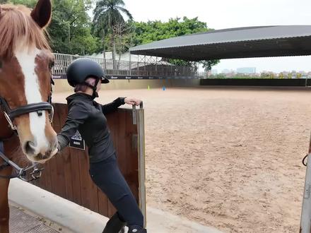 🐎马术课流程记录
#骑马 #马术 #日常训练 #运动女孩