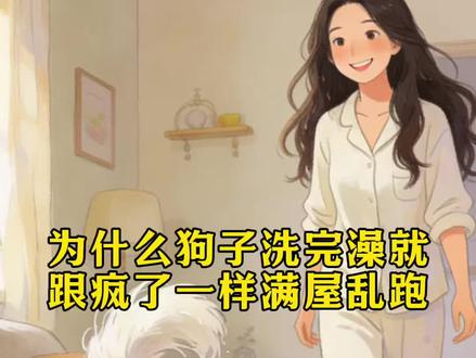 为什么狗子洗完澡就跟疯了一样满屋乱跑#宠物说 #养狗人 #毛孩子 #狗狗 #狗狗的日常