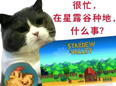 你是什么流派的?#星露谷 #星露谷物语 #乙游 #种田玩家