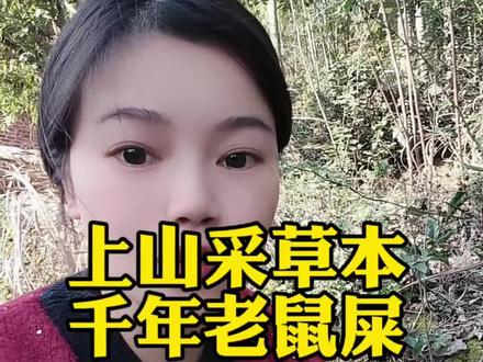 上山采草本之千年老鼠屎#记录生活#分享日常