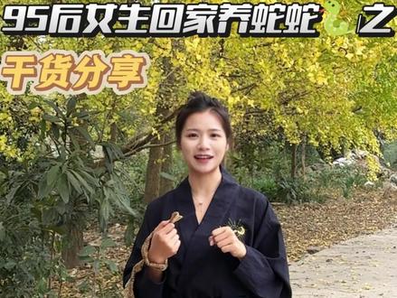 五步蛇什么时候攻击力最大?#五步蛇 #养蛇 #三农 #涨知识 #采蛇毒的小姑娘