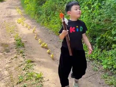 小男孩带领小鸭子排队走。网友:怎么能让鸭子这么听话!#鸭子 #排队 #秀我中国