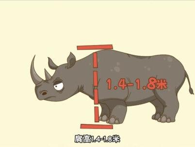 非洲五霸之一竟然是个暴脾气! #黑犀牛 #科普 #土豆逗 #涨知识 #儿童动画