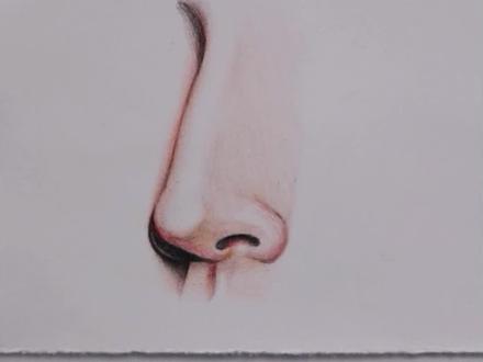 彩铅人像-鼻子画法,快来和七七老师一起画吧#画画 #彩铅 #绘画 #一起画吧