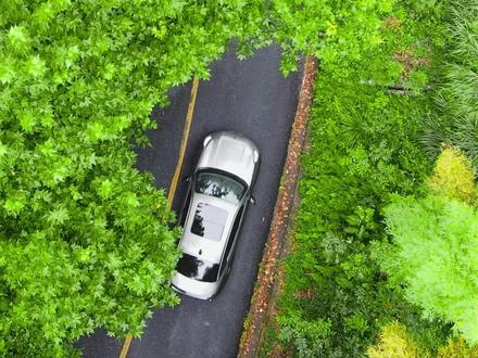 周末德清自驾游攻略来啦~嘎嘎出片!嘎嘎治愈!#旅行推荐官 #莫干山旅游 #周末自驾游