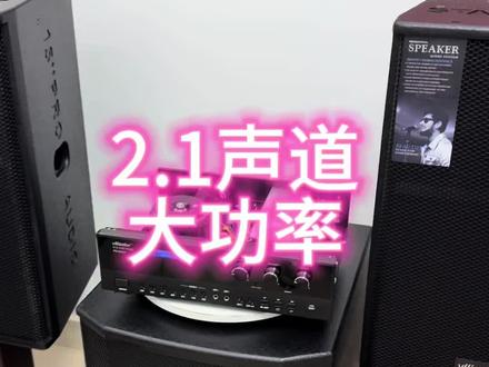 这才是真实的大功功率功放机#大功率功放机