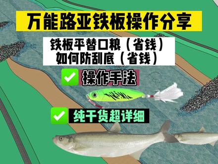 路亚假饵铁板怎么操作?铁板挂底怎么办?翘嘴 鳜鱼 鳡鱼 红尾 鲶鱼怎么路亚野钓。铁板都可以完成!如何更省钱的使用铁板降低挂底率?一个视频给你说明白。#路亚教学 #钓鱼人 #路亚新手入门教程 #钓鱼技巧 #路亚野钓