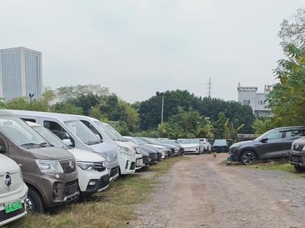 土狗又生了,给小黑狗找个领养的人,是公狗