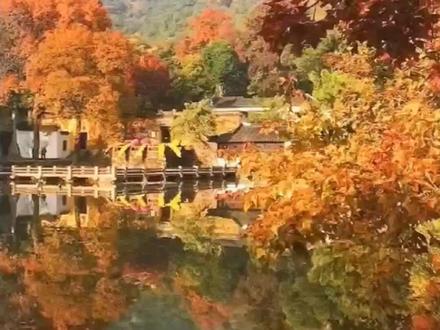 “枫景”这边独好#旅游景区 #骑行旅行风景 #风景绝佳的十大旅行地 #自然景点攻略 #旅游景区推荐