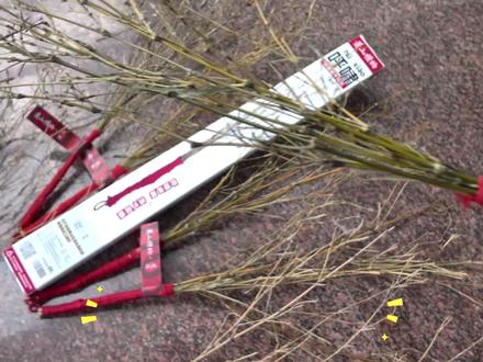 自带震慑力的“呼啸”,链起一波回忆#萧山礼物