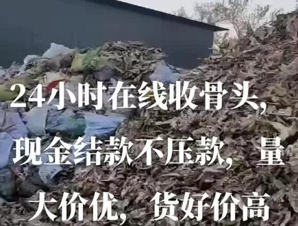 24小时在线收骨头,现金结款不压款,量大价优,货好价高