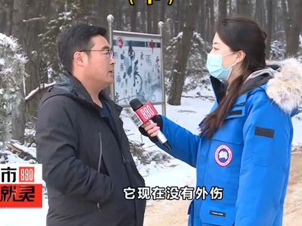 凶猛还专挑肉吃,这大鸟什么来头?