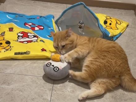 和巧克力王子一起倾听 #巧克力猫#塔斯汀 #塔斯汀酸菜鱼排堡上新 #塔斯汀中国汉堡