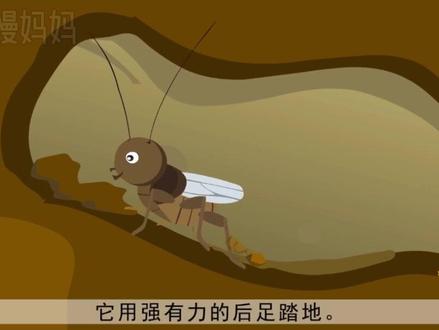 #四年级语文 第11课《蟋蟀的住宅》,同步视频动画,预习复习神器#小学语文 #预习课文 #读书 #学习