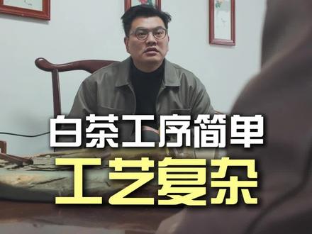说白茶工艺简单?都是门外汉 一个视频听懂工艺和工序的区别!#福鼎白茶 #召唤茶友 #白茶工艺 #制茶人的日常分享
