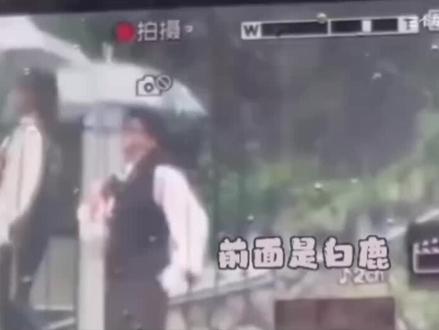 #蔡徐坤 我哥哥快要被退到镜头外了