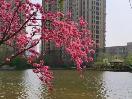 怎样下载抖音中的音乐 在剪映中使用 方法简单一看就会