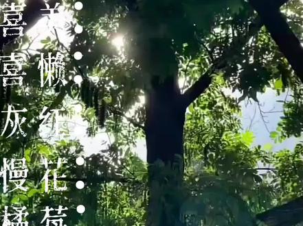 用一首歌形容喜灰里的cp#喜羊羊与灰太狼#喜灰cP#热点#精选