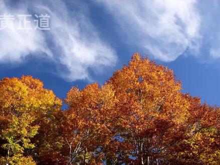 五脏对应五声#中医 #传统文化 #传承中医文化 #五行