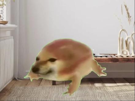 #猫meme #我的刀盾 #cheems
刀盾狗将在59:58说我的刀盾