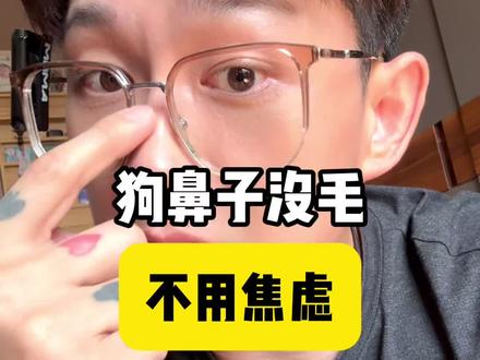 狗狗鼻子没有毛不用担心 #说真话的博主 #养狗经验分享 #狗狗鼻子 #养狗的