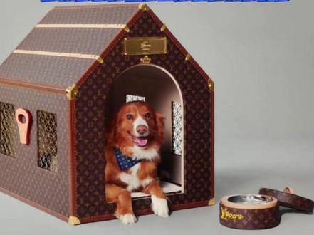 一个LV狗窝可以买一套房